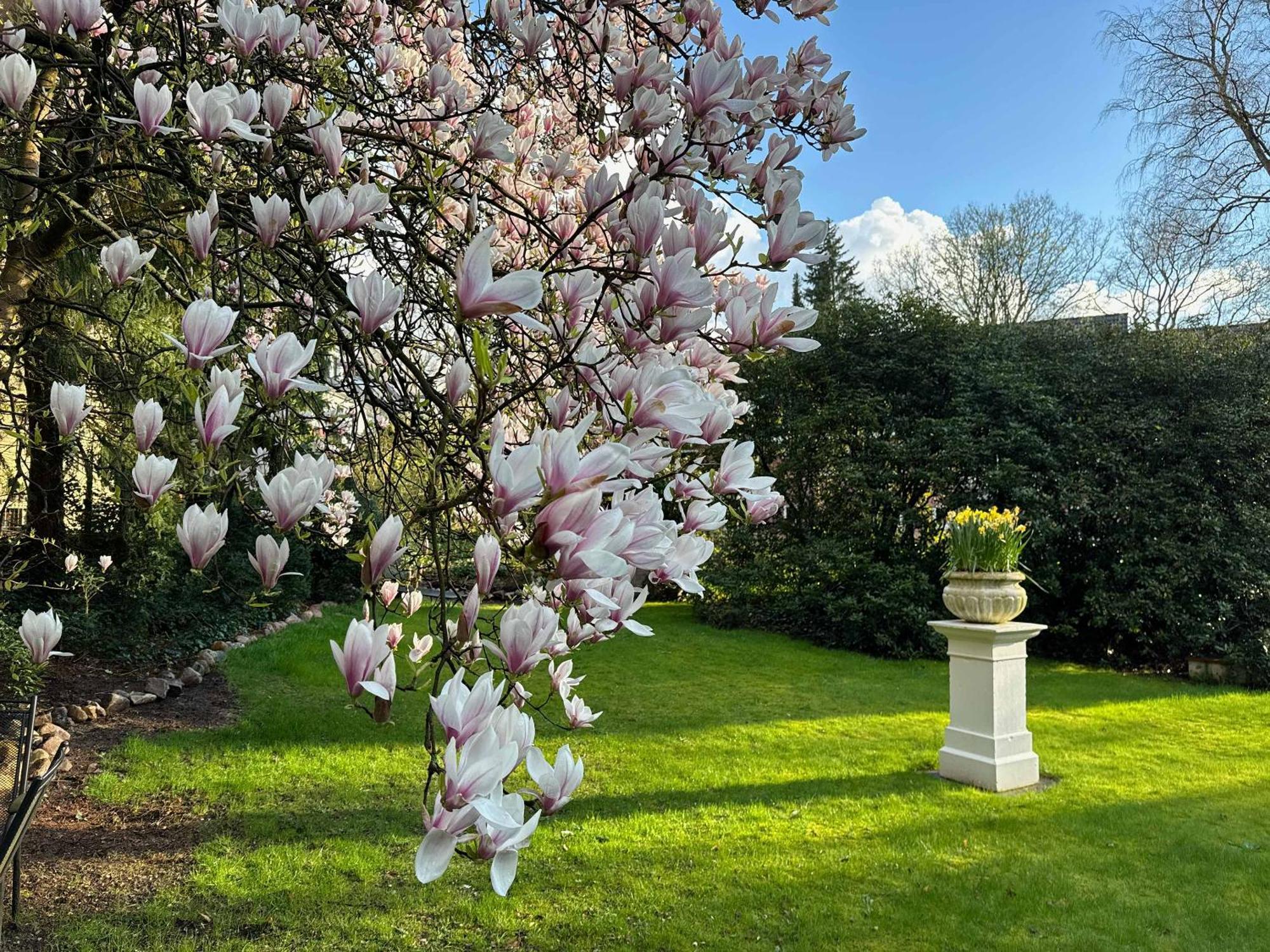 Hotel Rosengarten Hamburg Eksteriør bilde